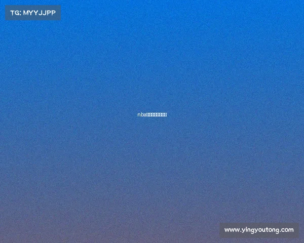 nba上海赛是什么意思